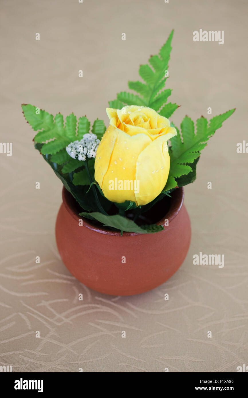 yellow rose in the brown pot. Stock Photo