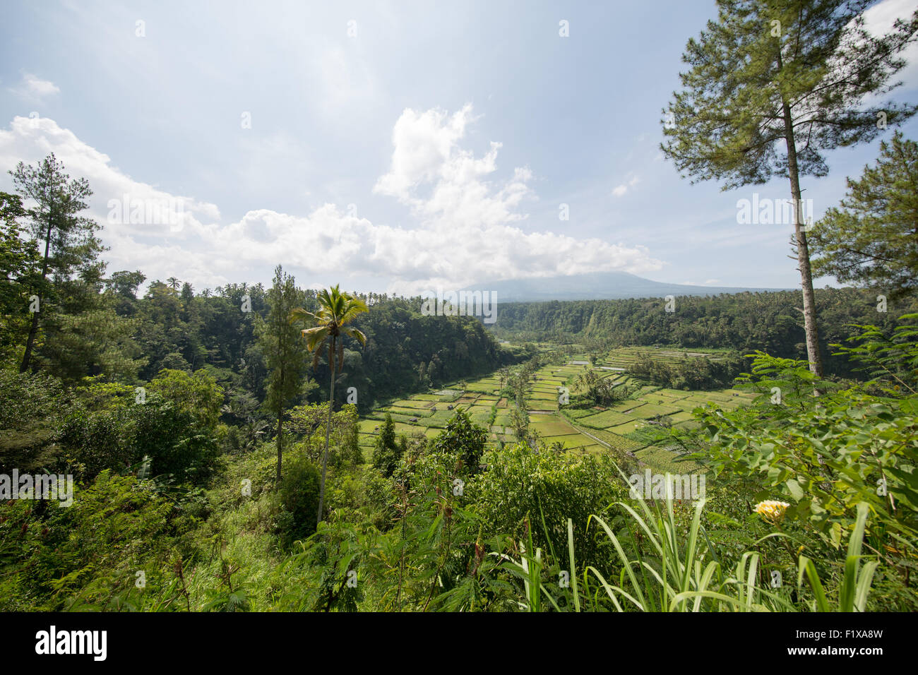 The View From Lereng Agung In Karangasem Indonesia Stock Photo Alamy<script async src=