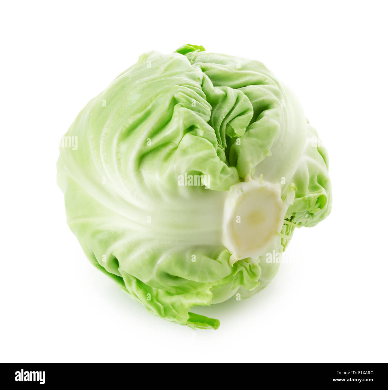 cabbage on the white background. Stock Photo