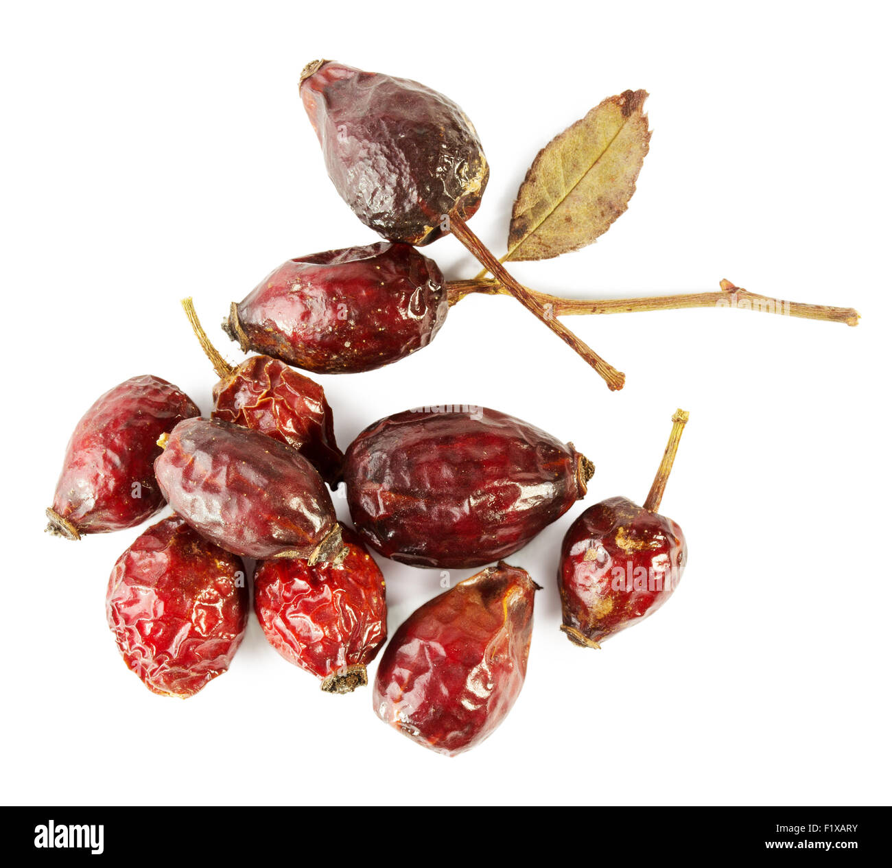 dried rosehip berries isolated on the white background Stock Photo Alamy