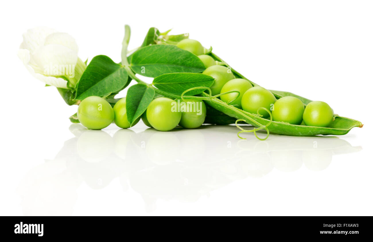 Ripe green peas on the white background. Stock Photo