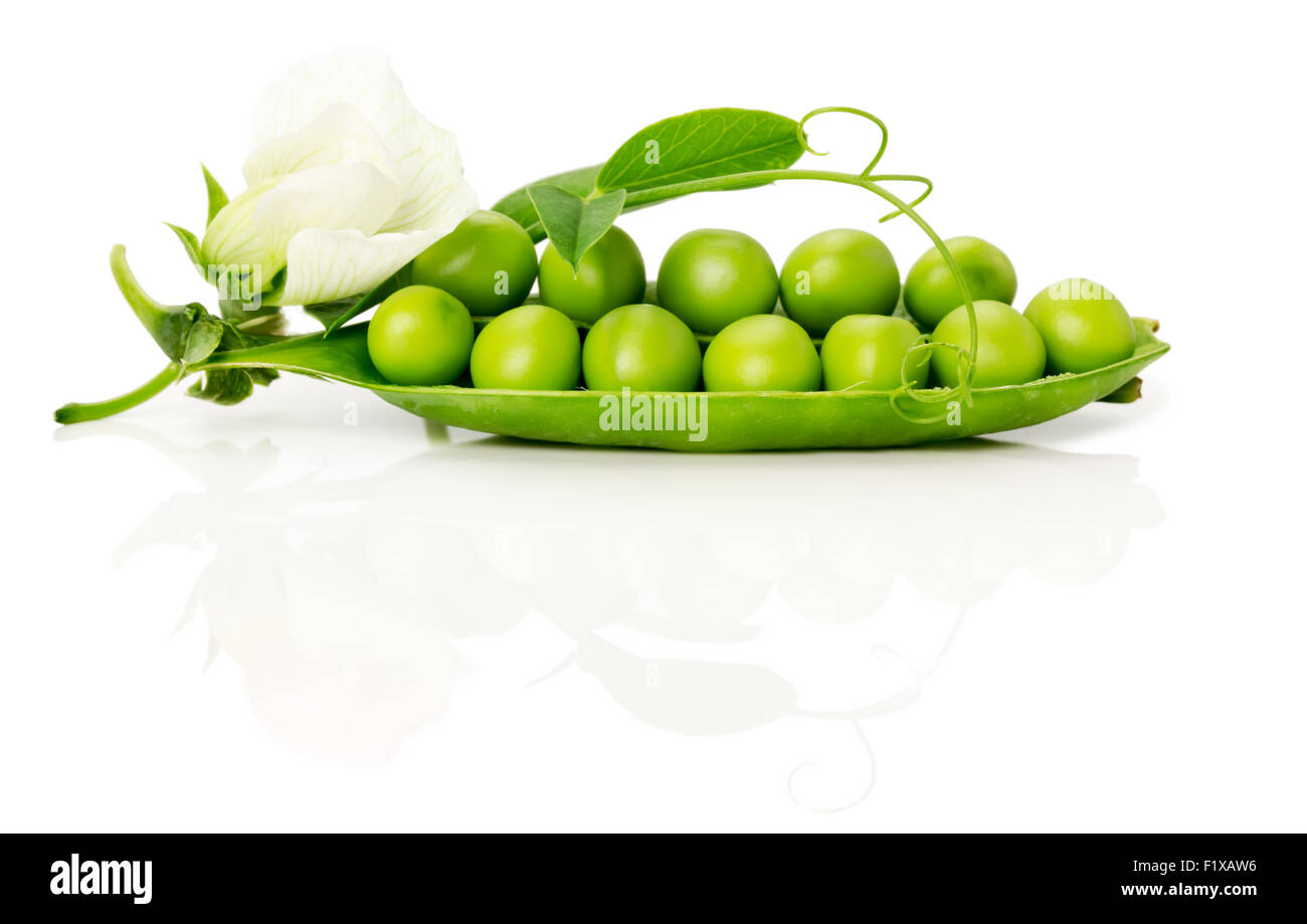 Ripe green peas on the white background. Stock Photo