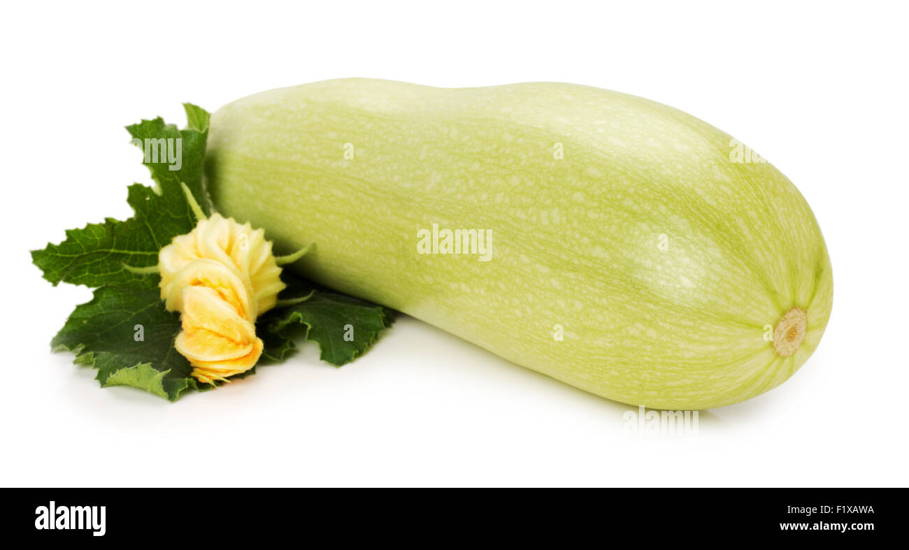 ripe zucchini with its flower on the white background. Stock Photo