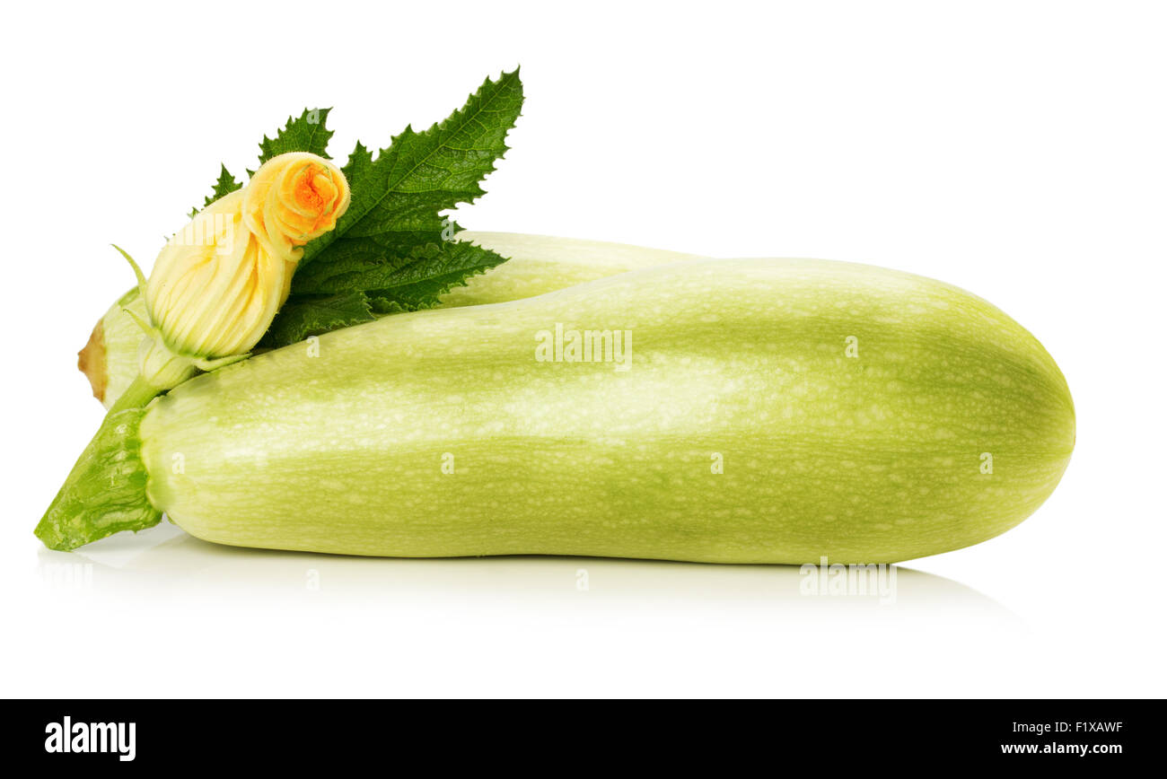 ripe zucchini with its flower on the white background. Stock Photo