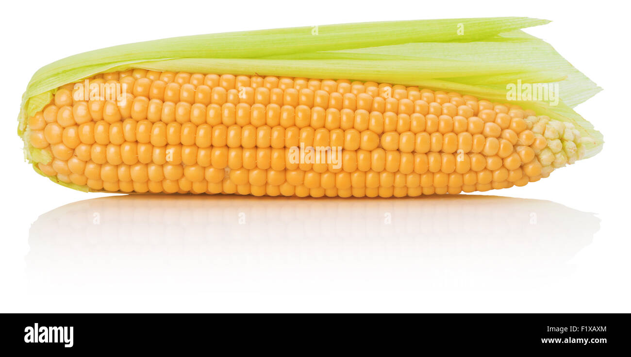 Isolated corn hi-res stock photography and images - Alamy
