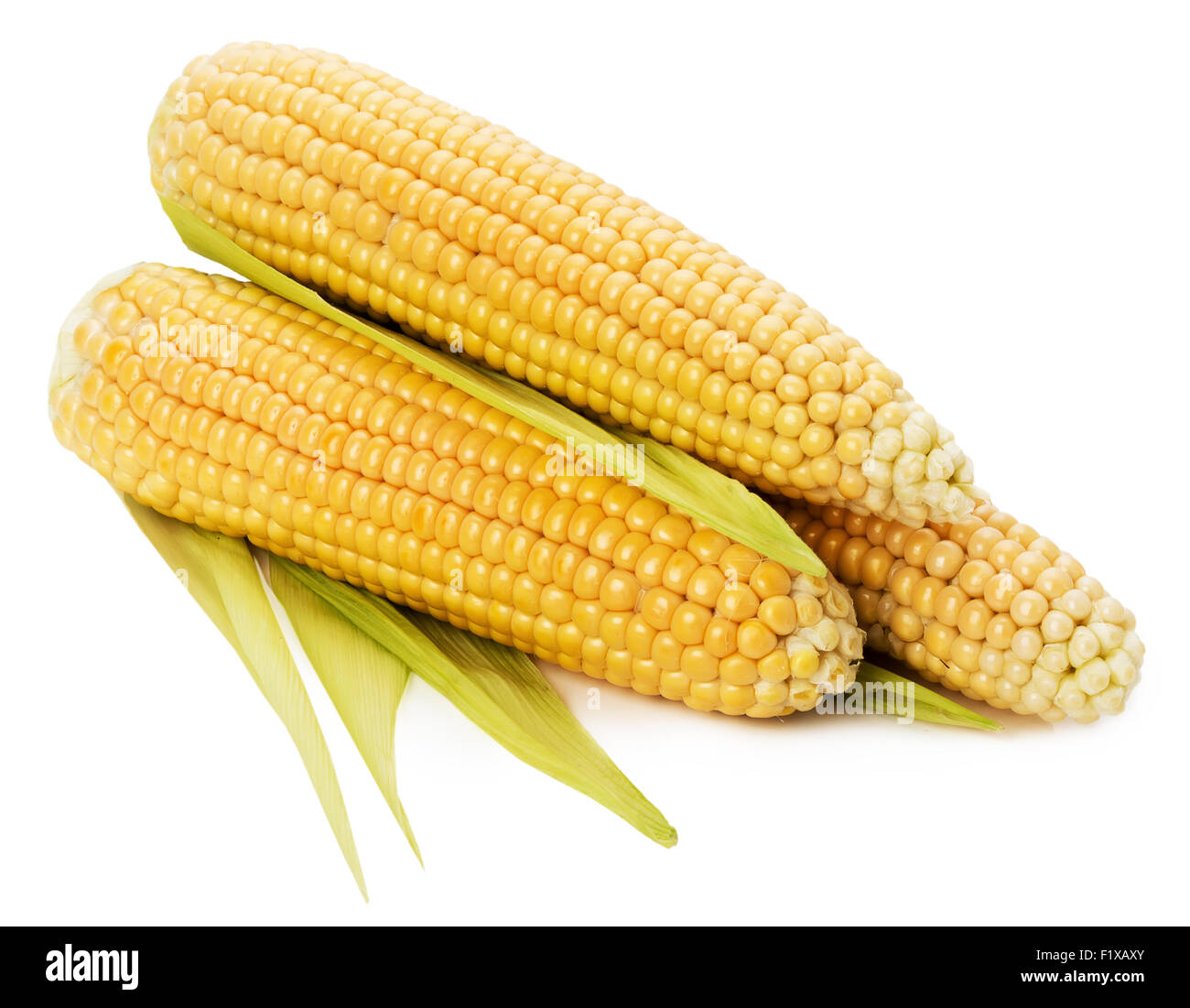 An ear of corn isolated on the white background. Stock Photo