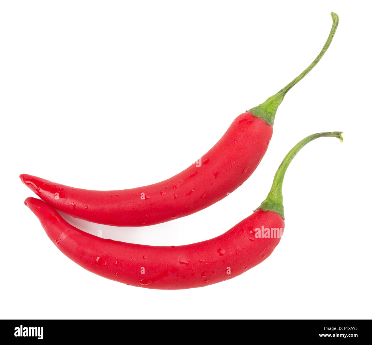 red chilly peppers isolated on the white background. Stock Photo