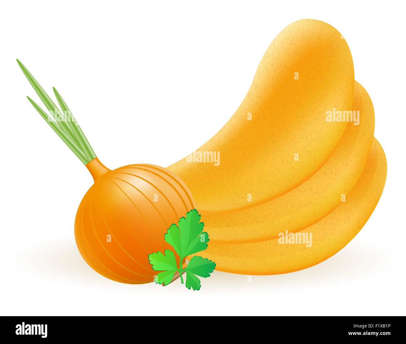 potato chips with onion vector illustration isolated on white ...