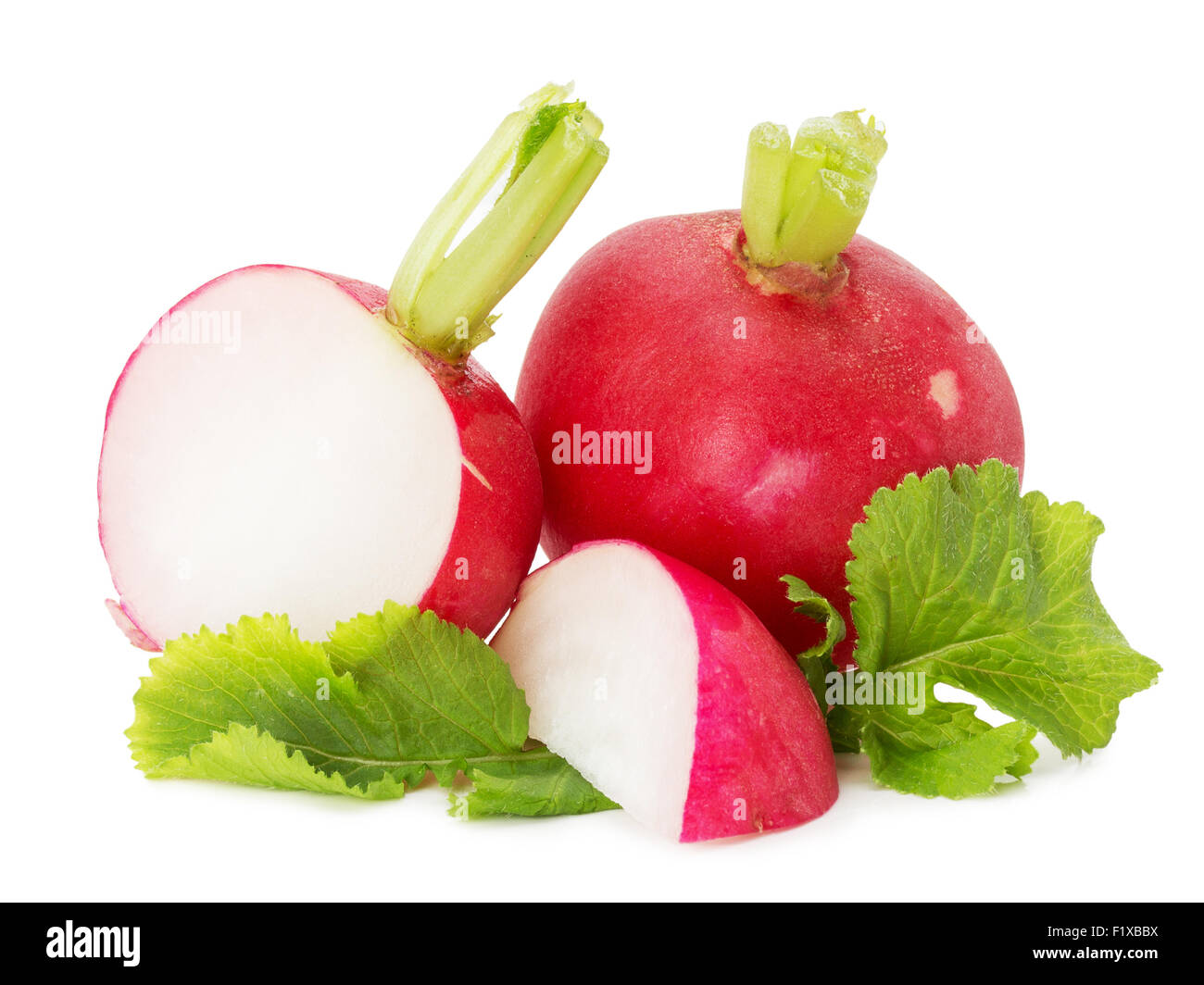radishes isolated on the white background. Stock Photo