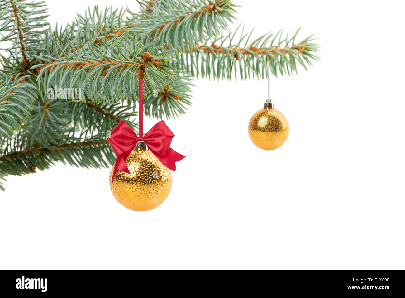 fir tree with ball isolated on white. Stock Photo