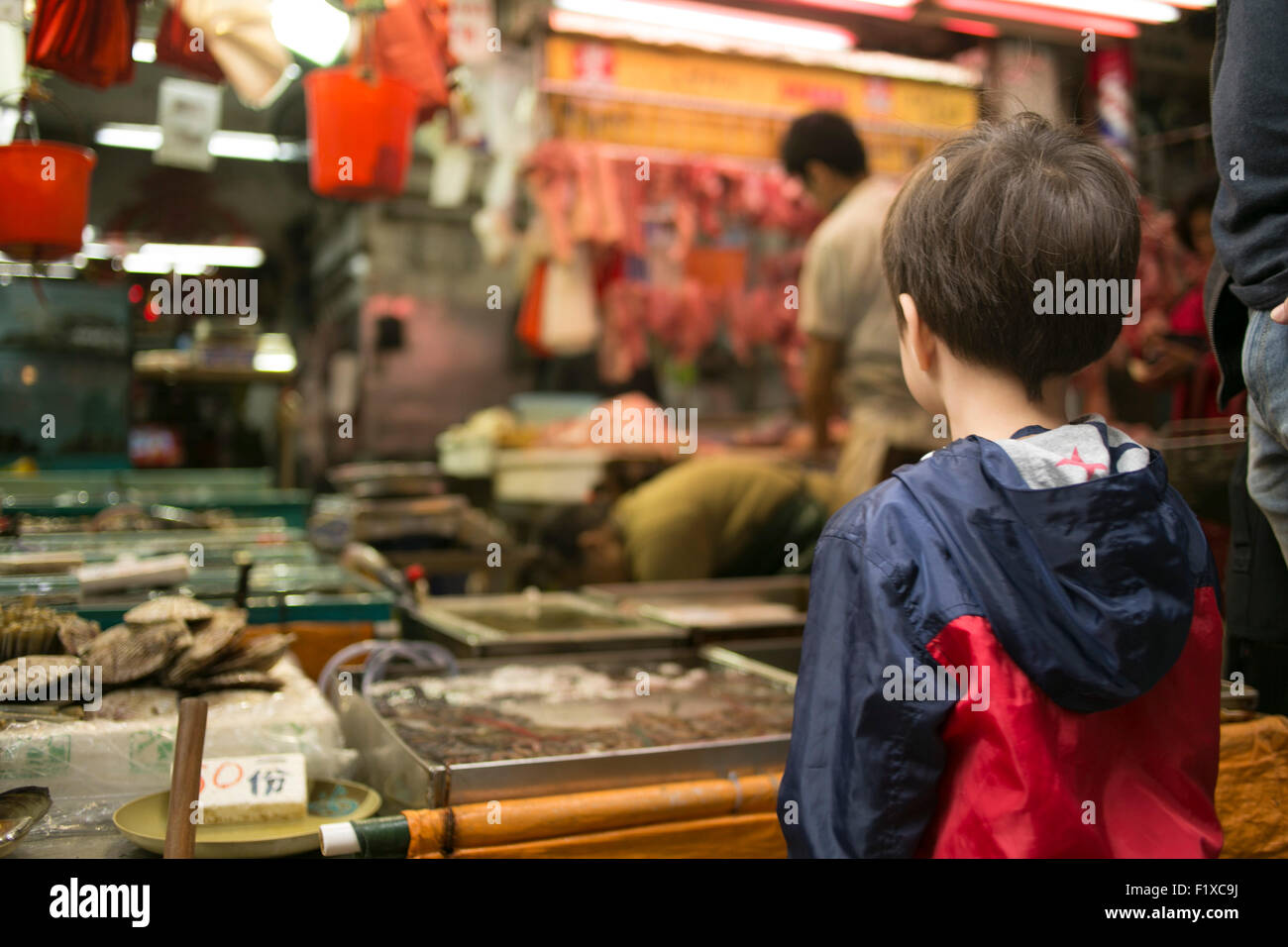 Child looking at seafood at the North Point Wet Markets in Hong Kong Stock Photo