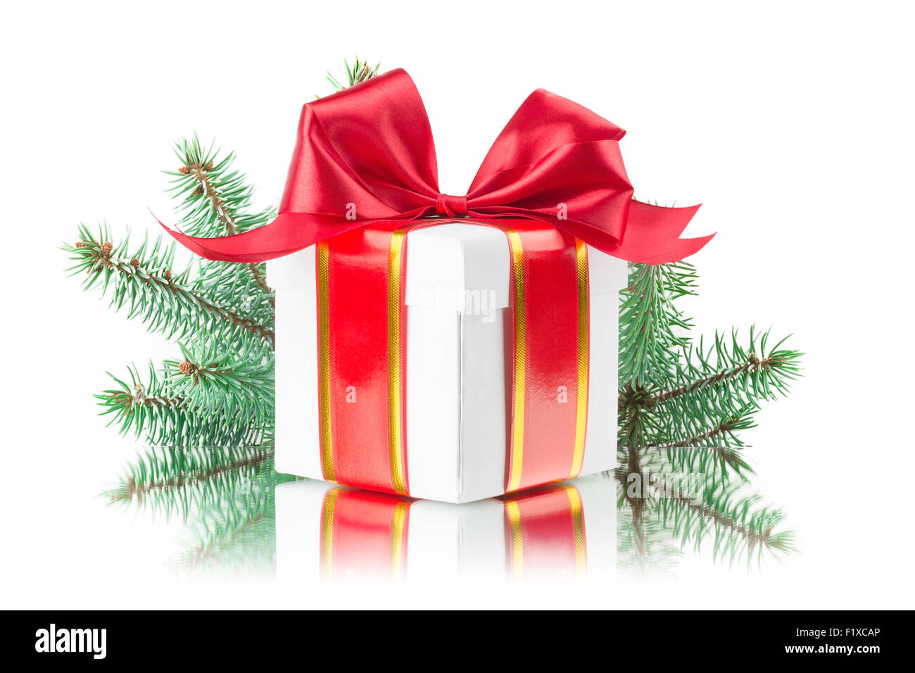 gift box,  tree branch іsolated on white background. Stock Photo