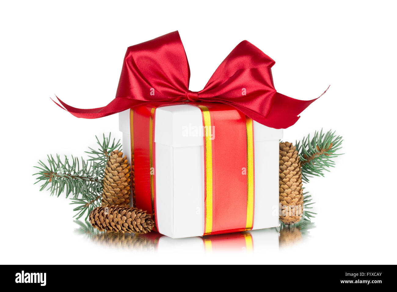 gift box,  tree branch, cone, іisolated on white background. Stock Photo