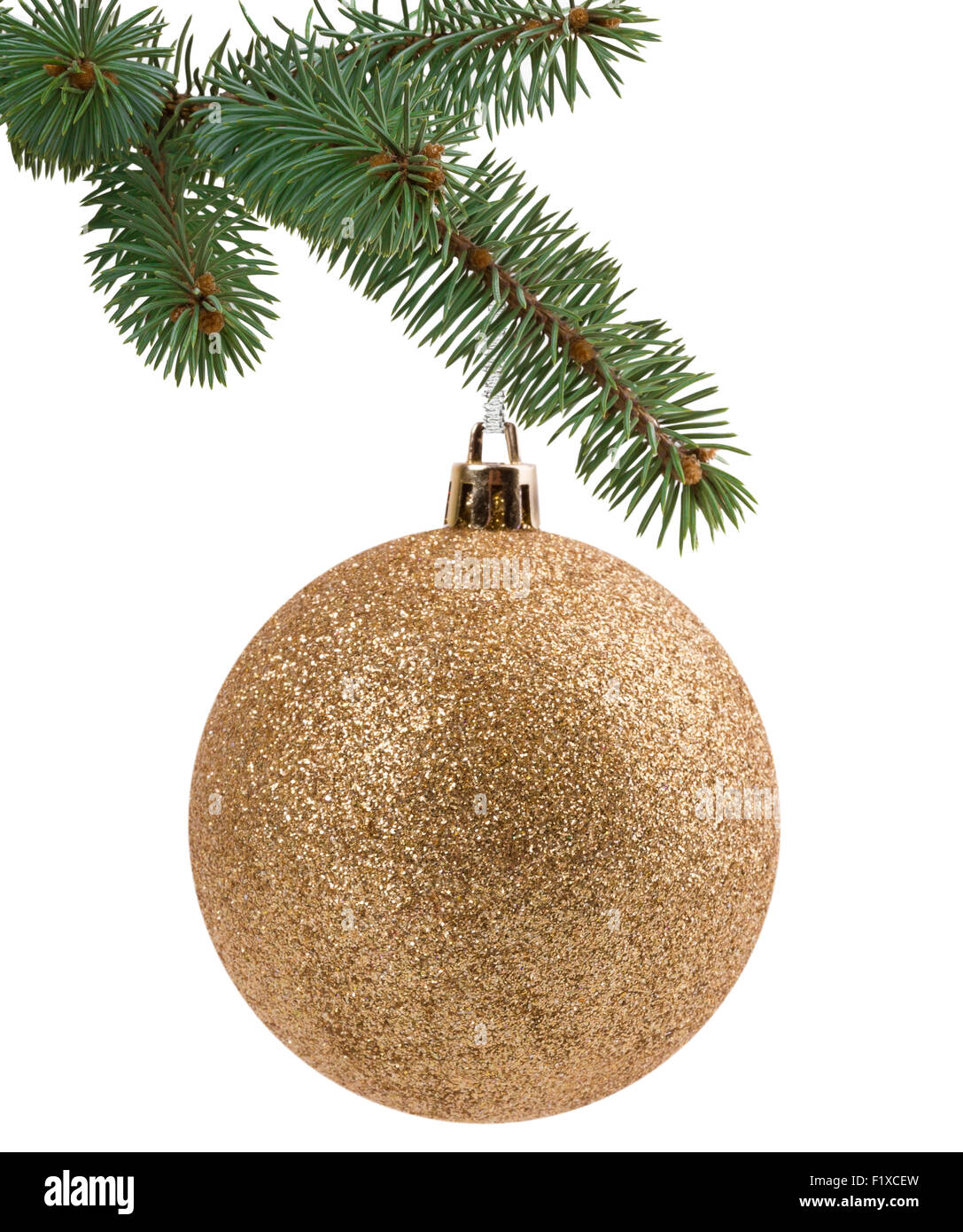 Christmas tree branch with a ball. Stock Photo