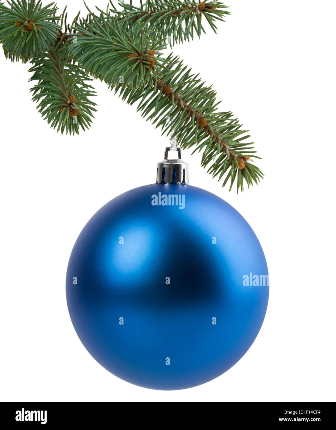 Christmas tree branch with a blue ball. Stock Photo
