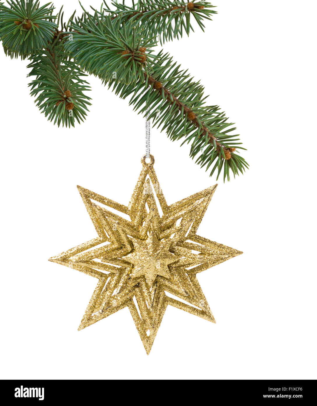 Christmas toy in the shape of a star on a branch. Stock Photo