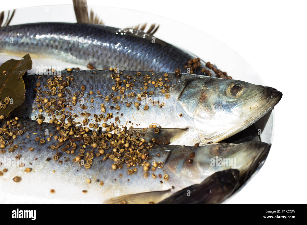 herring with flavoring in a bucket. Stock Photo