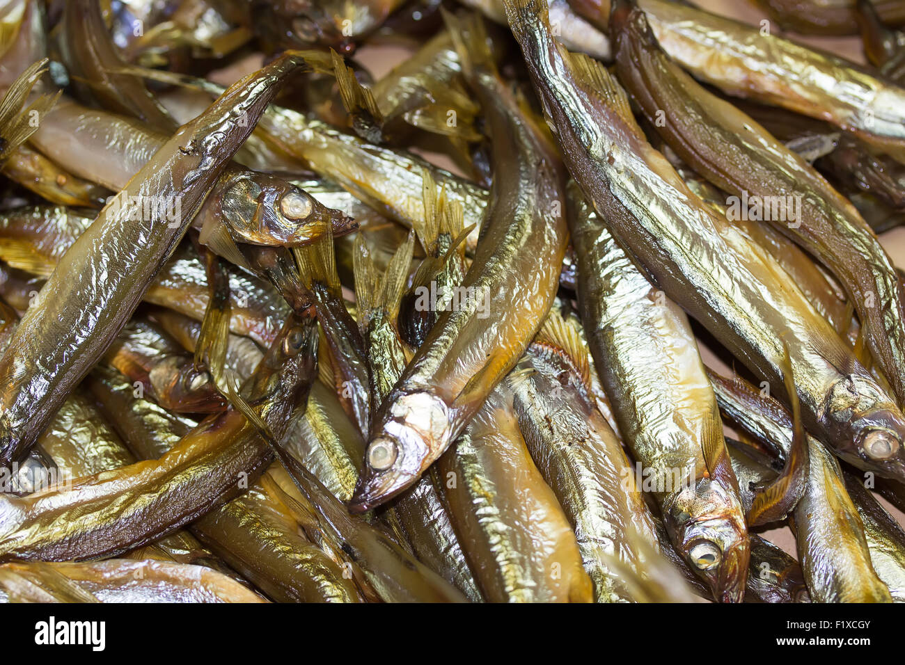 Herring fish hires stock photography and images Alamy