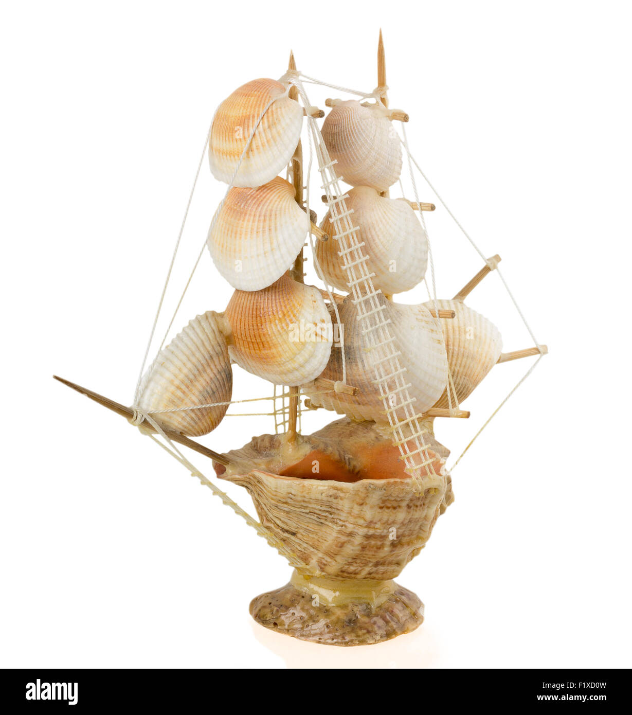 ship of seashells on a white background. Stock Photo