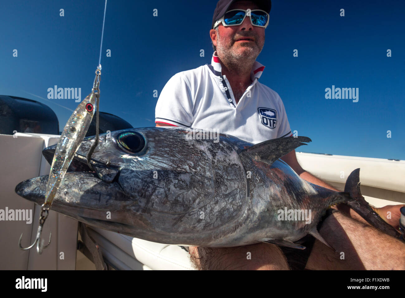 Atlantic bluefin tuna (Thunnus thynnus) sport fishing in the Basque