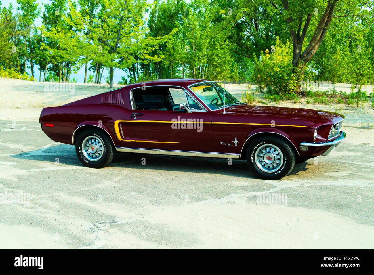 1968 Ford Mustang GT Stock Photo