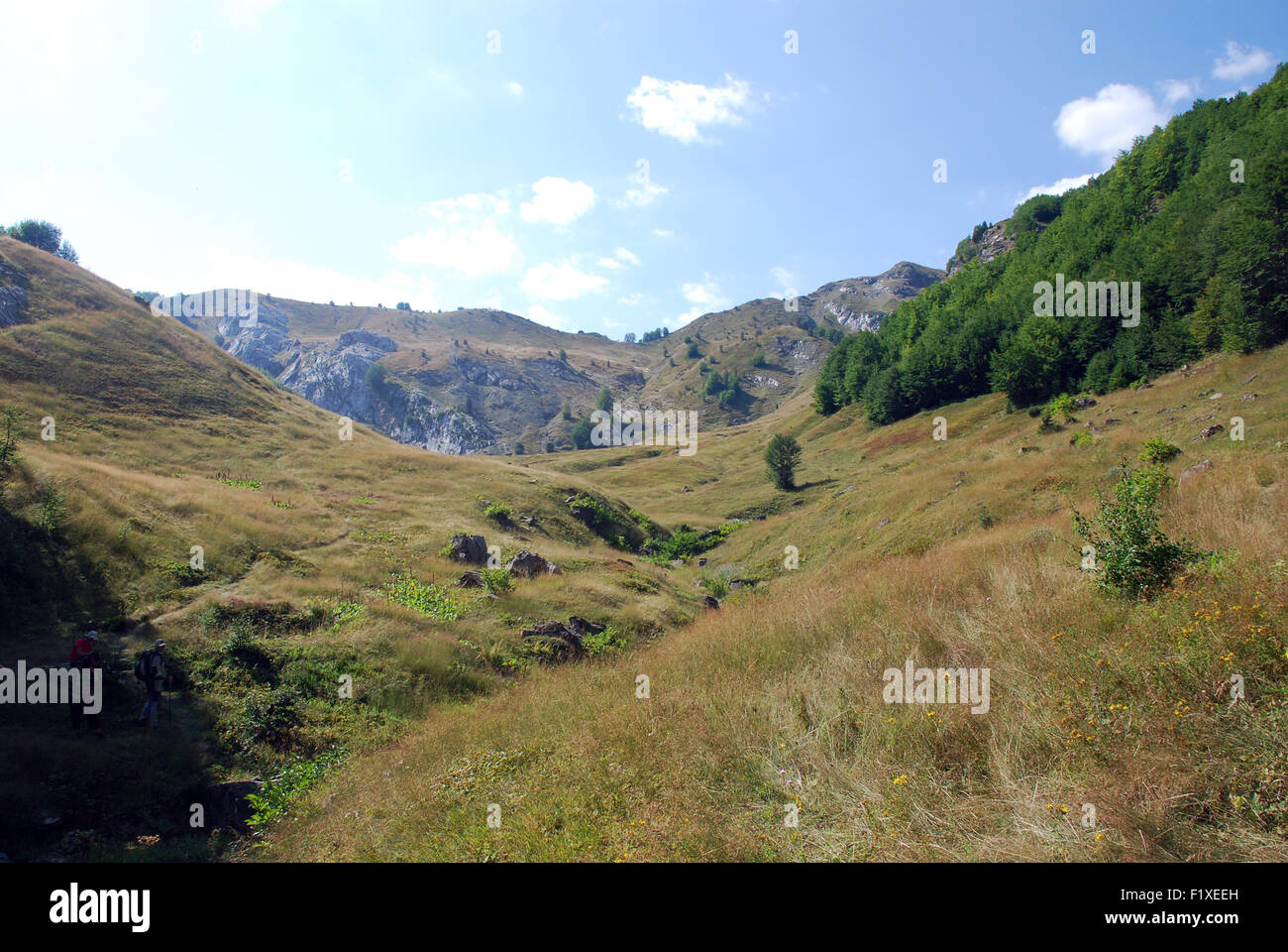 a mountain valley in the Balkans approaching the Ravno Pass on the Albanian Montenegro boarder Stock Photo