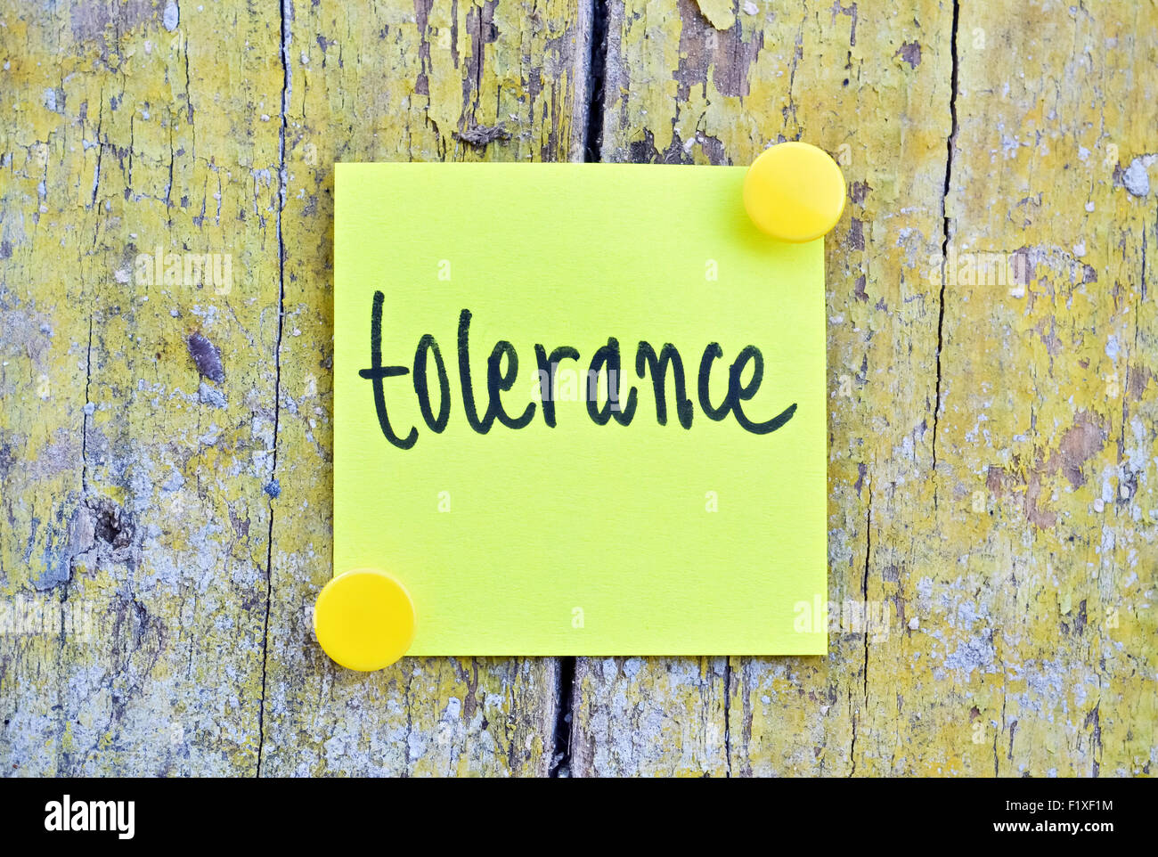 Yellow sticker with word Tolerance on wooden background Stock Photo