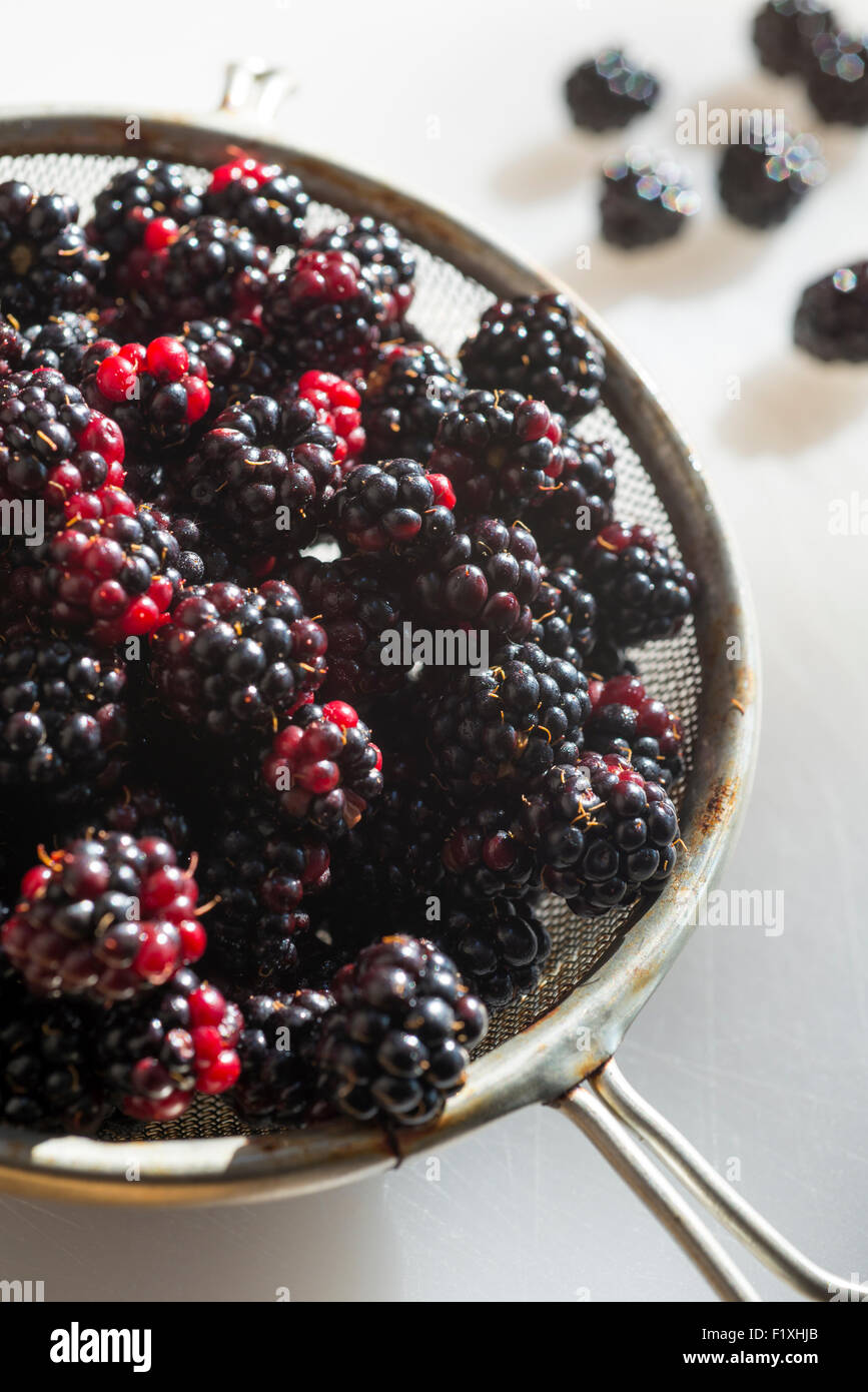 A sieve of fresh blackberries Stock Photo - Alamy