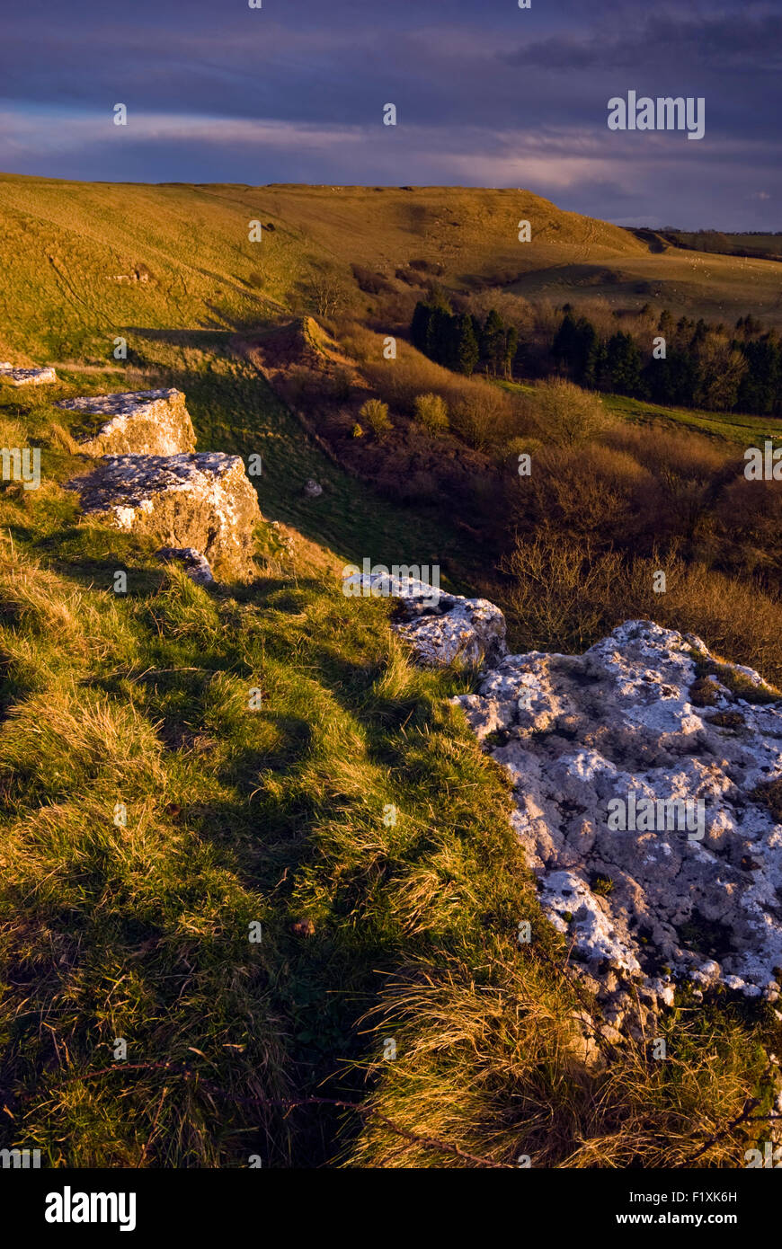 Eggardon Hill which sits above the village of Askerswell in Dorset, England, UK Stock Photo