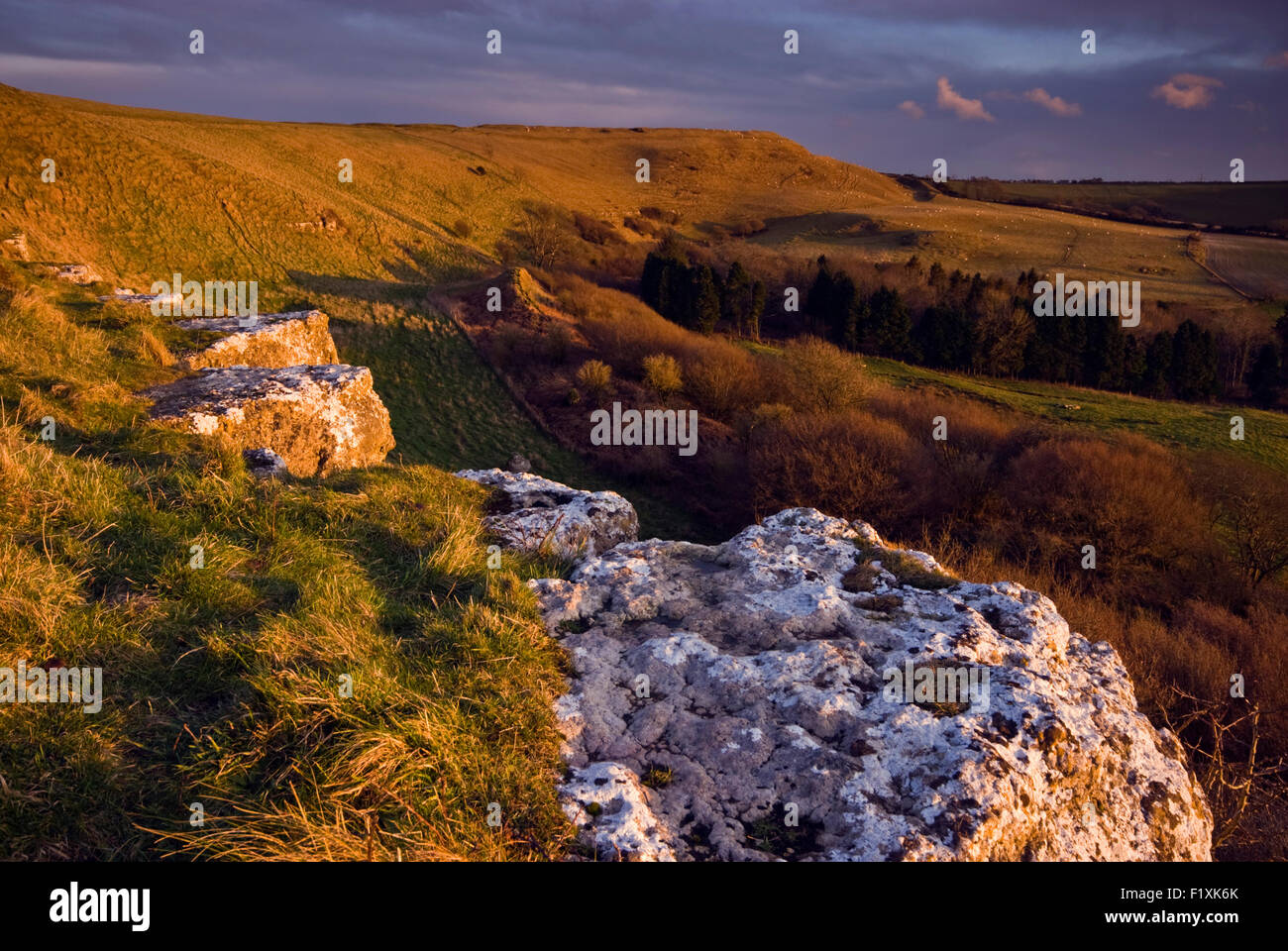 Eggardon Hill which sits above the village of Askerswell in Dorset, England, UK Stock Photo