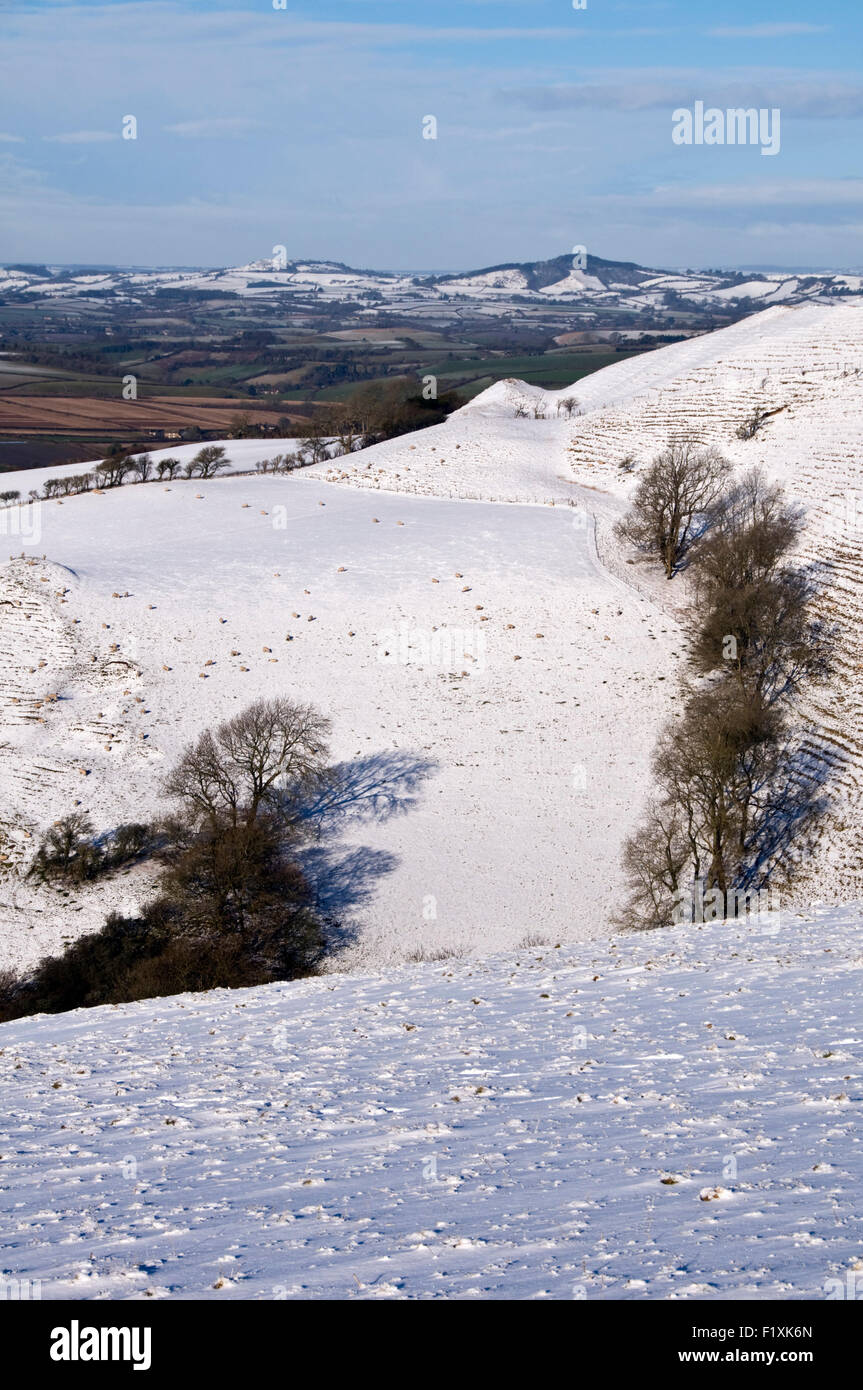 Snow on Eggardon Hill near Askerswell in Dorset, England, UK Stock Photo