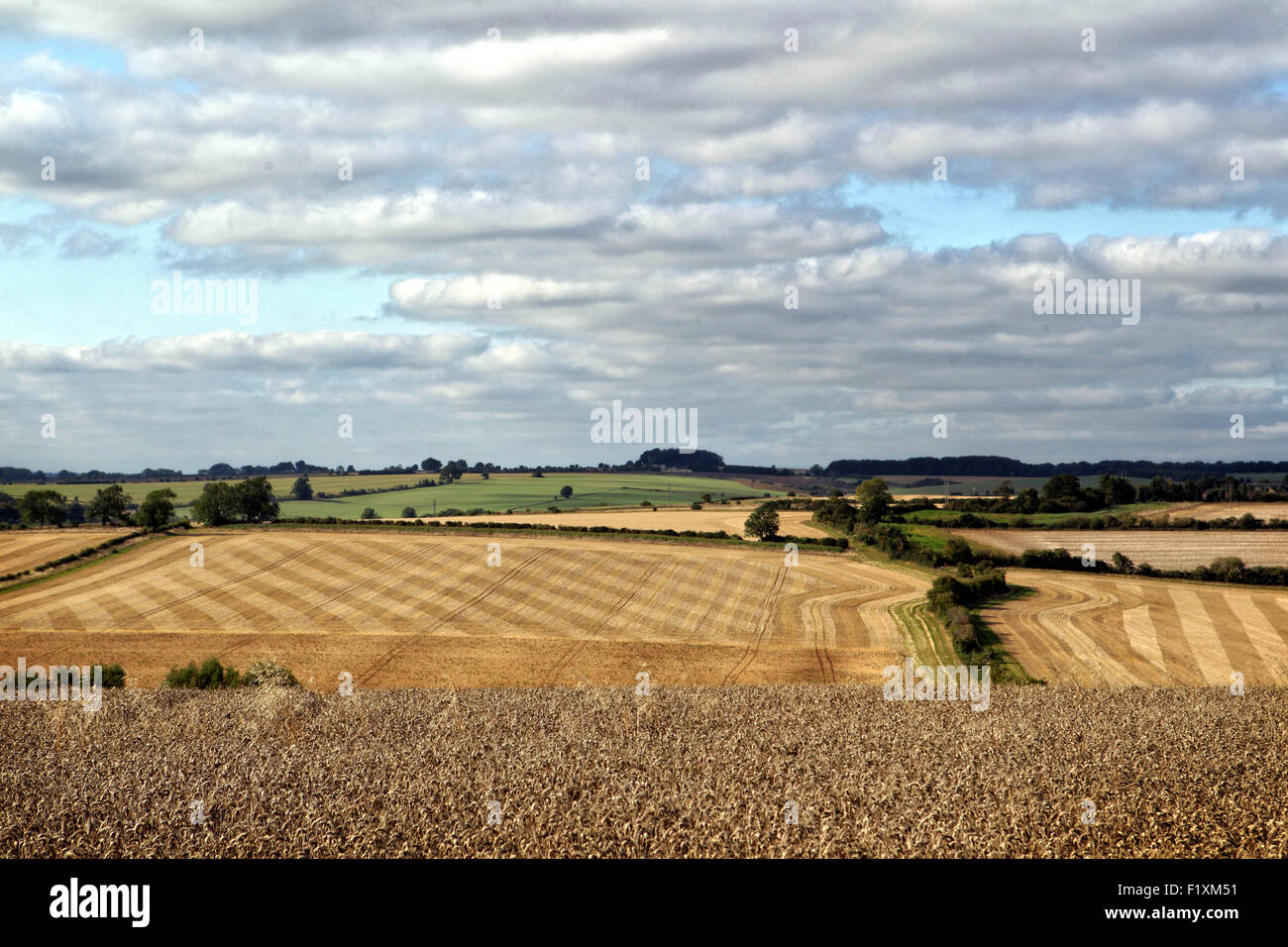 Tuesday 8th September, 2015, The Cotswolds, UK UK Weather Unusual