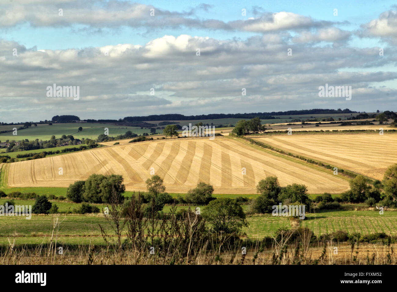 Tuesday 8th September, 2015, The Cotswolds, UK UK Weather Unusual