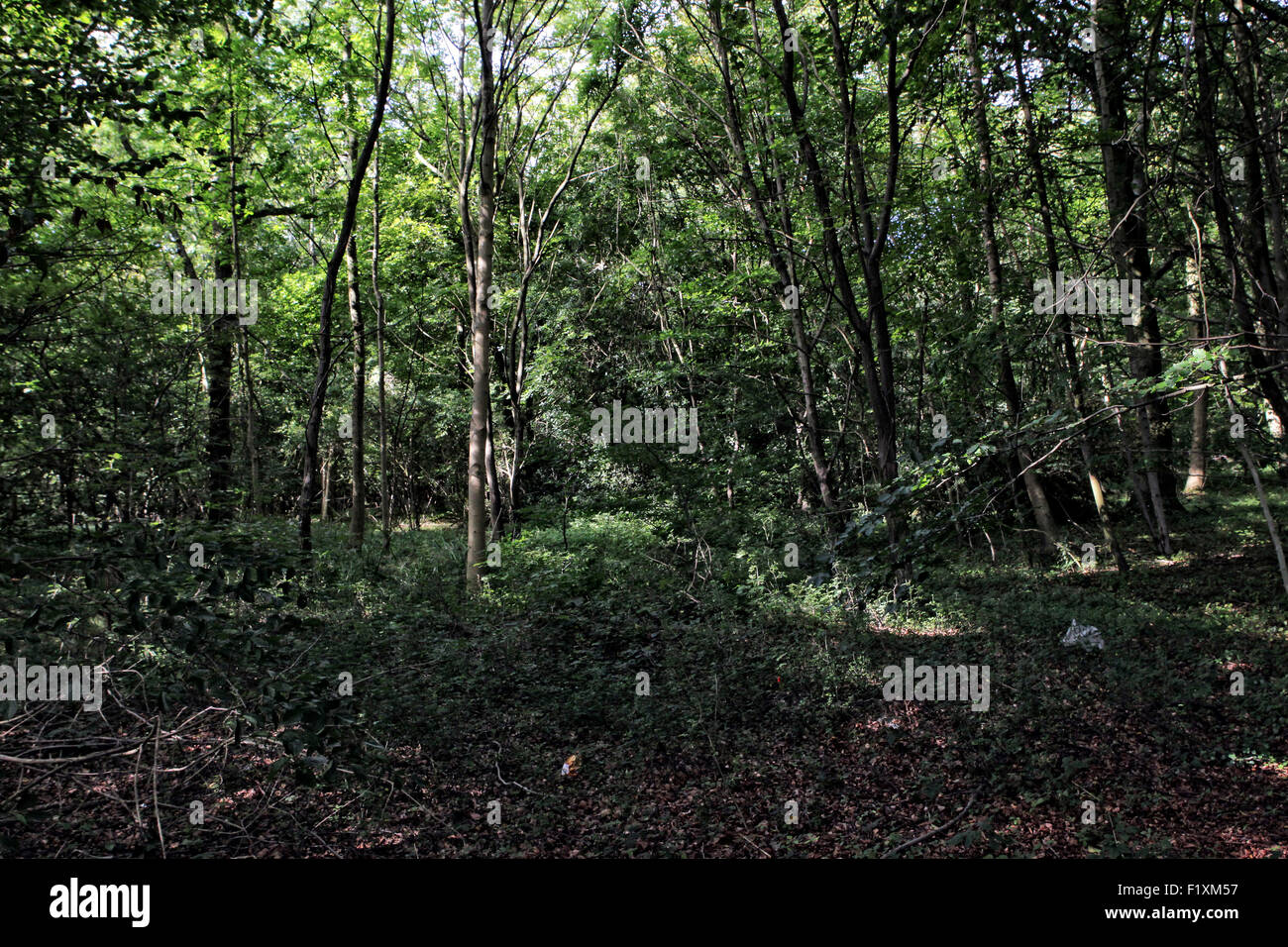 Tuesday 8th September, 2015, The Cotswolds, UK UK Weather Sunshine