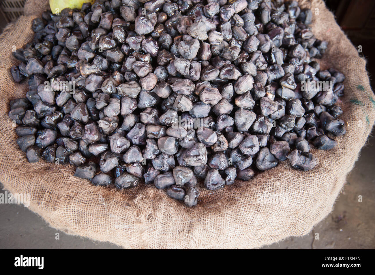 Amritsar, Punjab, India. Singhara - Indian name - black water chestnuts or water caltrop, of the genus Trapa. Known as Paniphal in Bangladesh. Stock Photo