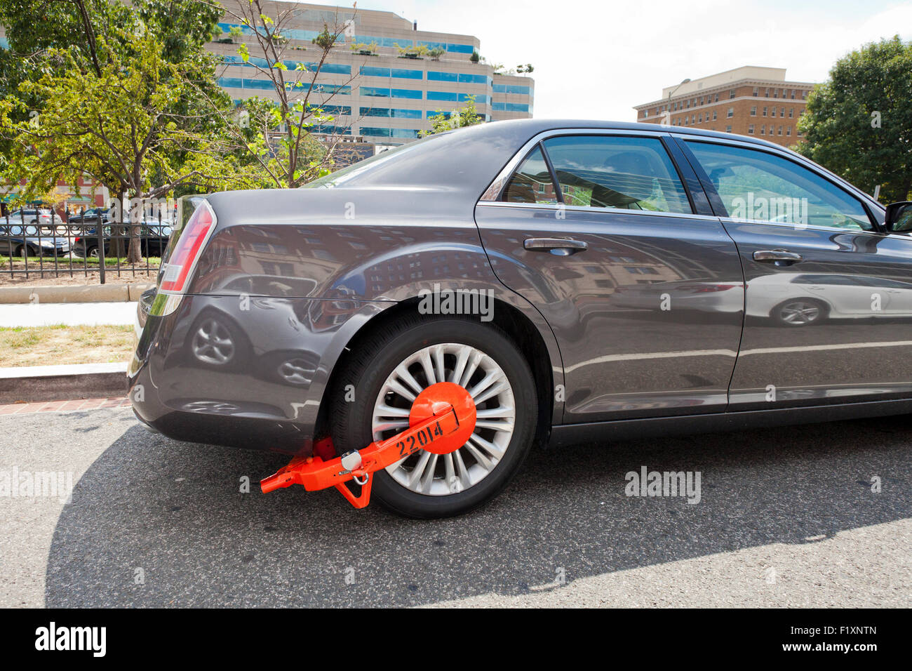 Wheel lock on car USA Stock Photo Alamy