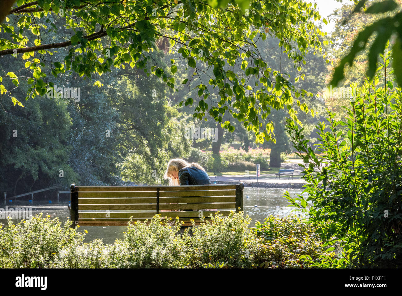 Wolverhampton Bench A woman sat on a bench backlit by the sun at the west Park ...