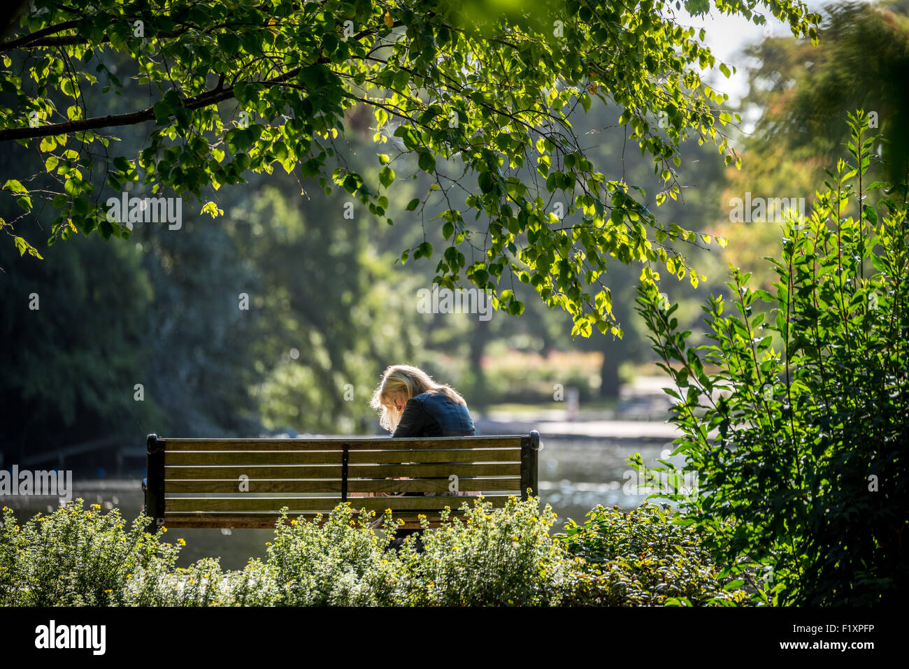 Woman sat on a bench hi-res stock photography and images - Alamy