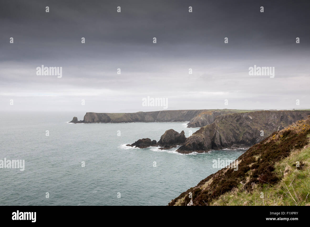 Rugged coastal landscape in North Pembrokeshire, Wales. Moody sky over cliffs and sea. Stock Photo