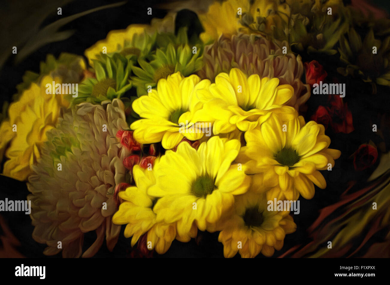 Chrysanthemum (Latin Chrysánthemum ) genus of annual and perennial