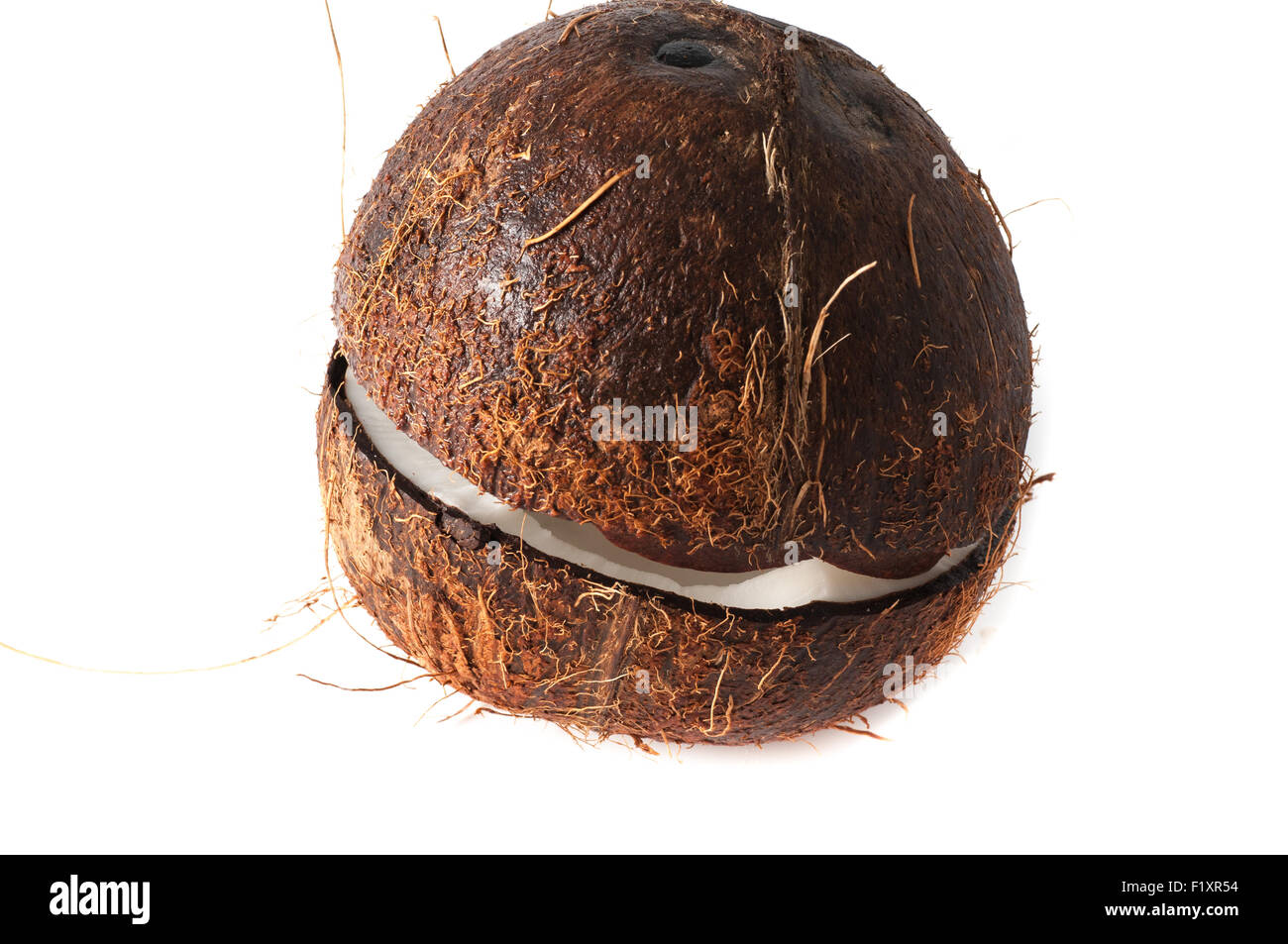 Coconut tree cut hires stock photography and images Alamy
