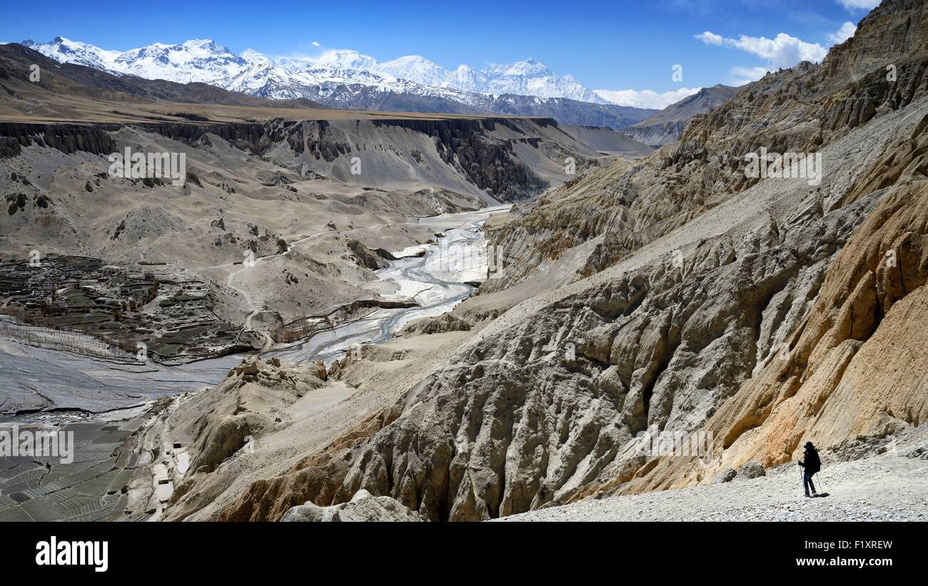Nepal, Gandaki zone, Upper Mustang (near the border with Tibet), trekker and mineral landscape reaching the valley of Dhie Gaon village Stock Photo