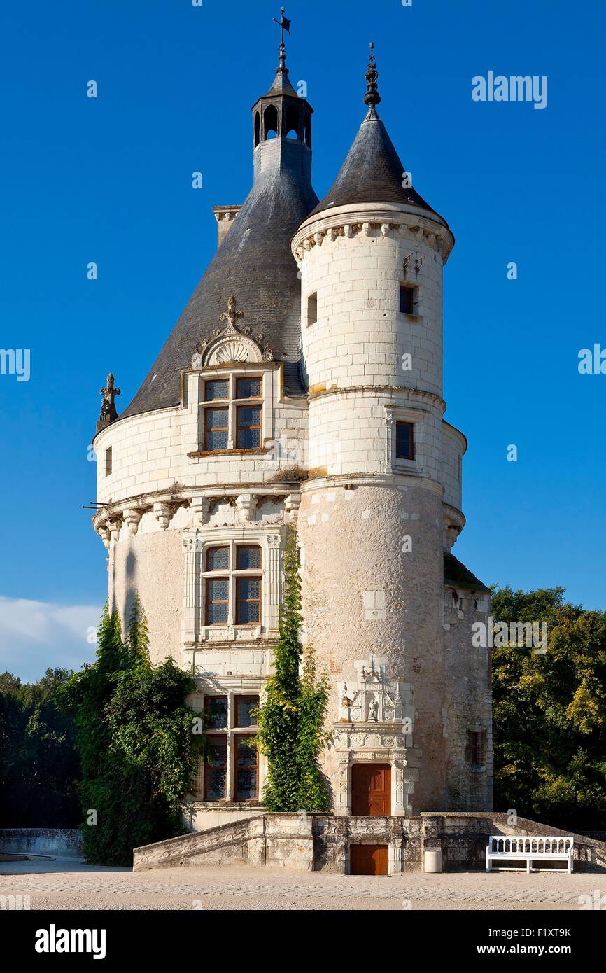 France, Indre et Loire, Chenonceau Castle Stock Photo