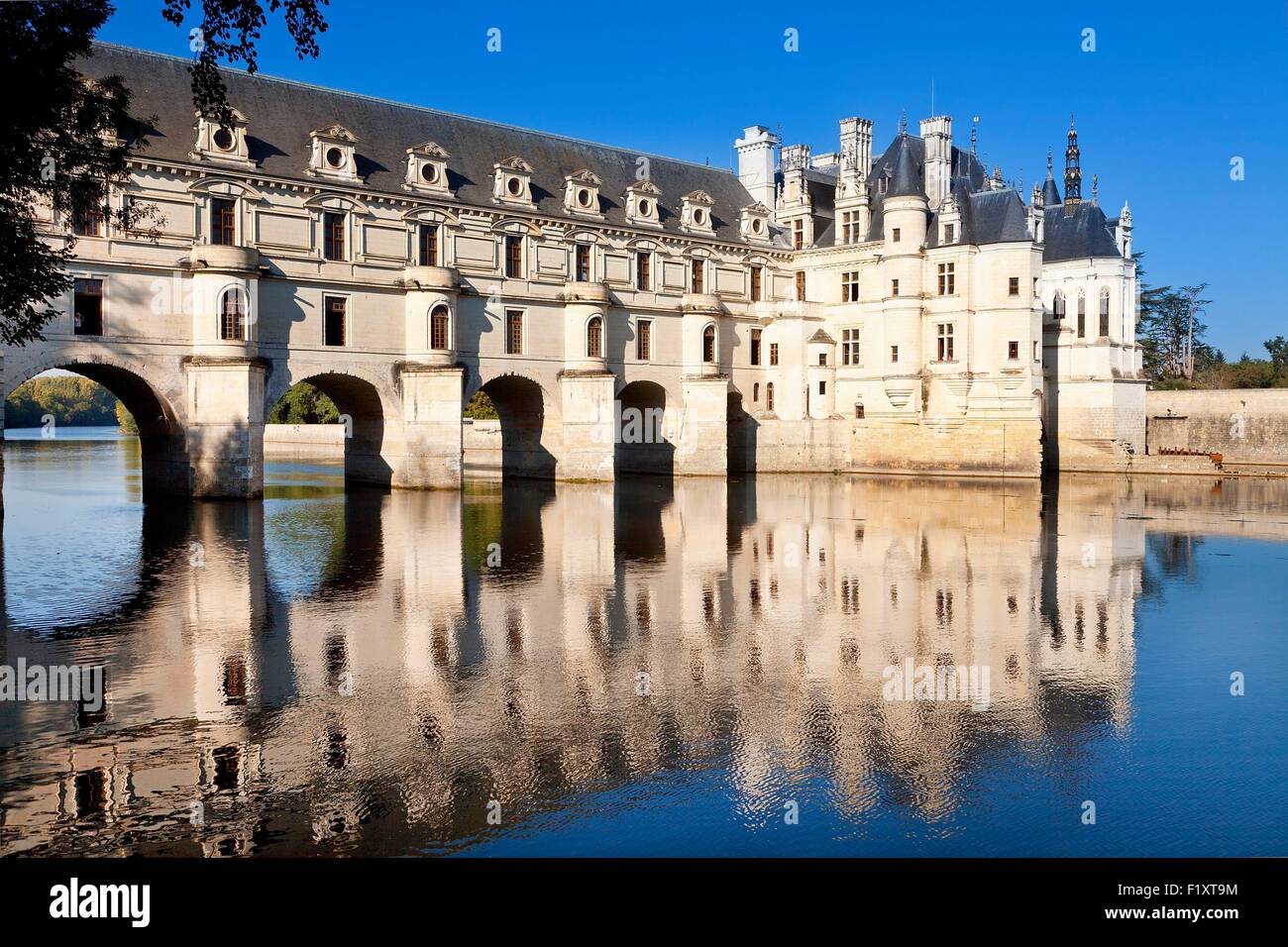 France, Indre et Loire, Chenonceau Castle Stock Photo