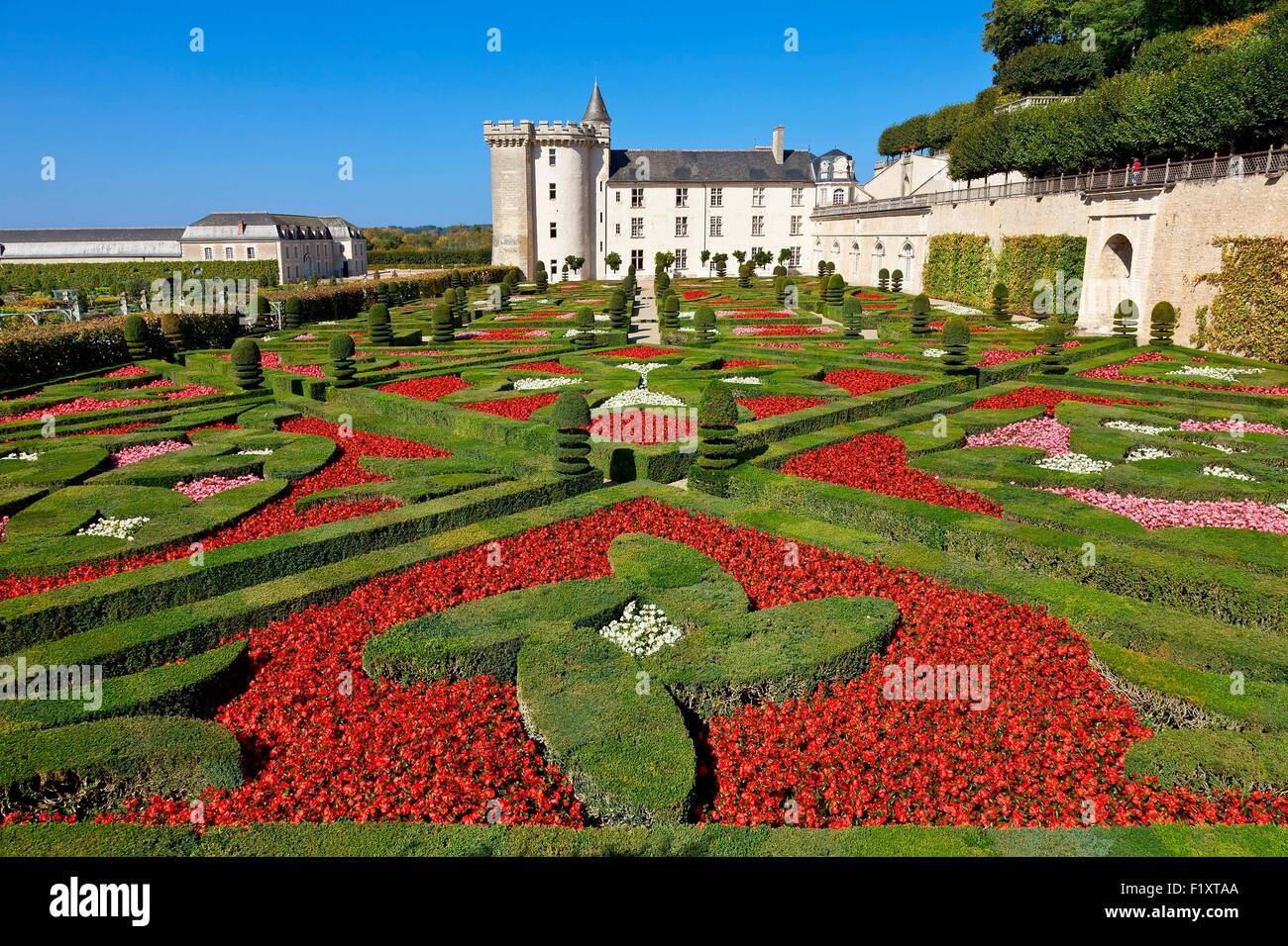 France, Indre et Loire, Loire Valley listed as World Heritage by UNESCO, Chateau de Villandry, the castle and the gardens, property of Henri and Angelique Carvallo Stock Photo