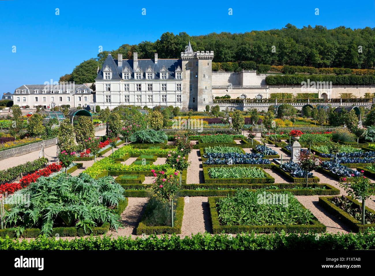 France, Indre et Loire, Loire Valley listed as World Heritage by UNESCO, Chateau de Villandry, the castle and the gardens, property of Henri and Angelique Carvallo Stock Photo