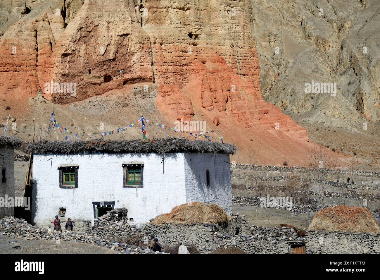 Nepal, Gandaki zone, Upper Mustang (near the border with Tibet), house in the village of Dhakmar and red cliff with caves Stock Photo