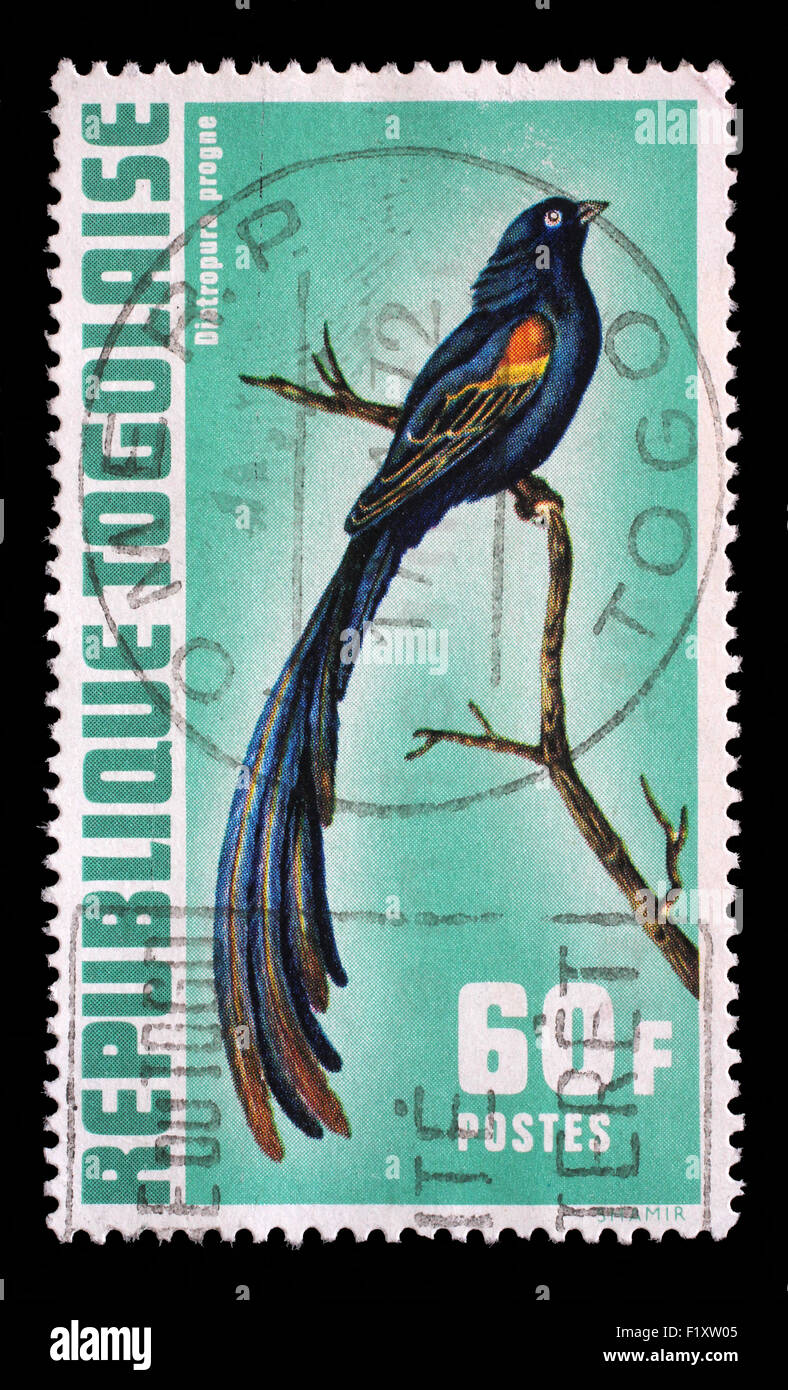 Stamp printed in Togo shows Diatropura progne, Exotic birds, circa 1972. Stock Photo