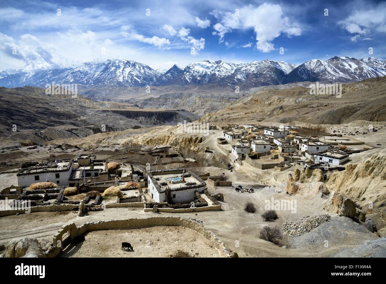 Nepal, Gandaki zone, Upper Mustang (near the border with Tibet), village of Ghara between Yara and Lori Gompa Stock Photo