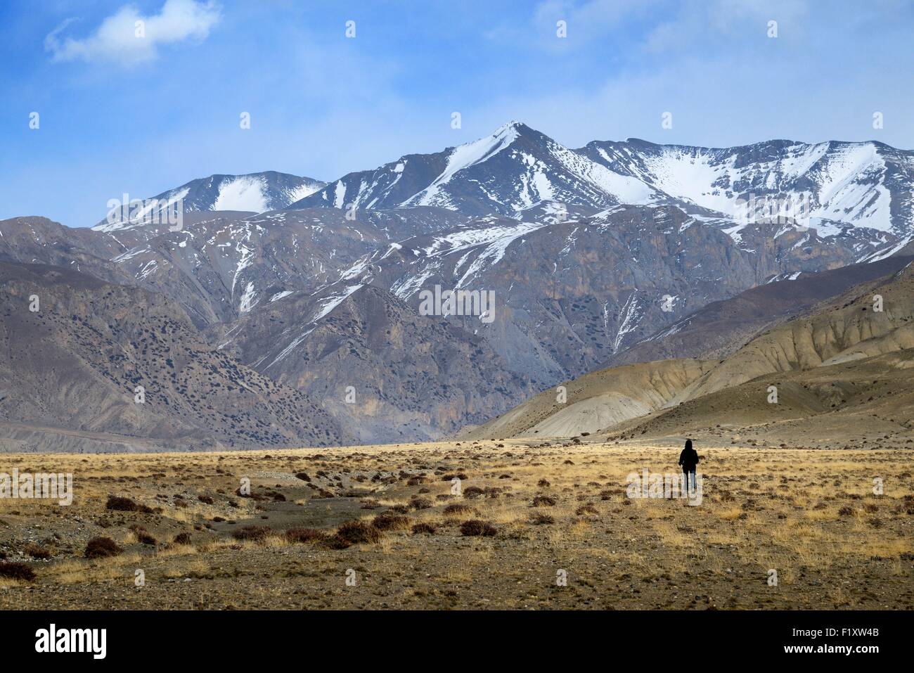 Nepal, Gandaki zone, Upper Mustang (near the border with Tibet), trekker near Yara Stock Photo